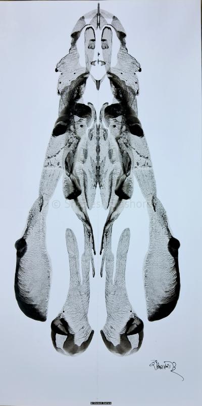 B/W Art