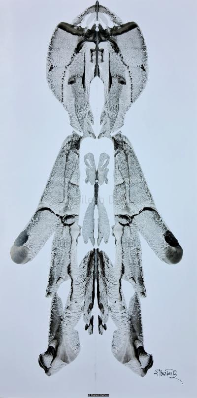B/W Art