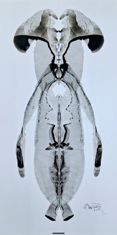 B/W Art