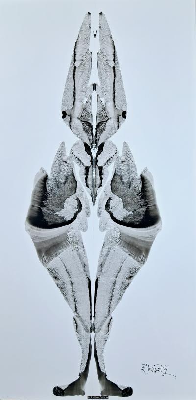 B/W Art