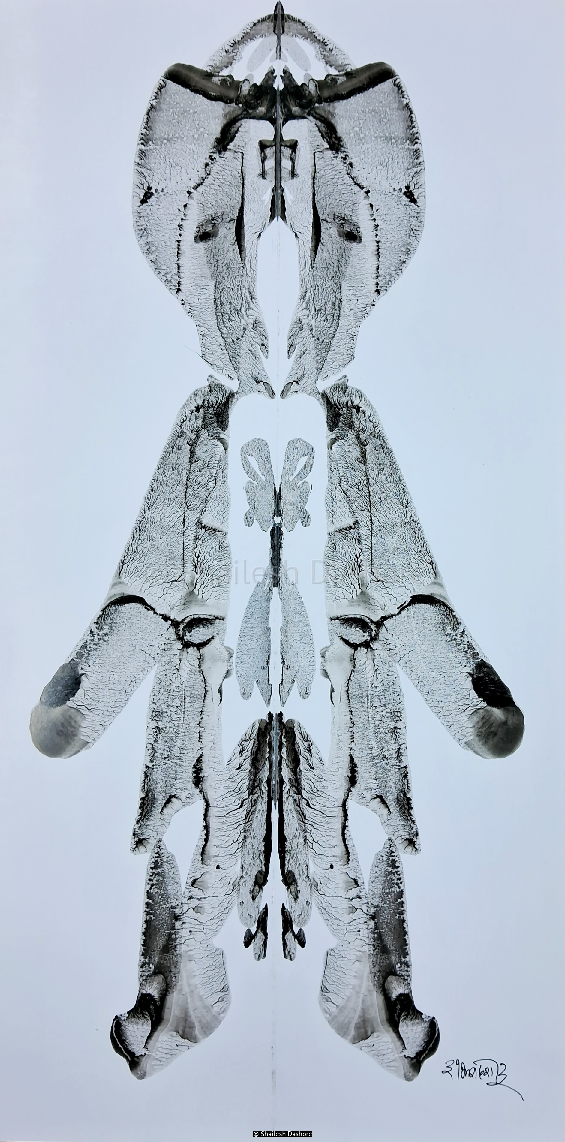 B/W Art