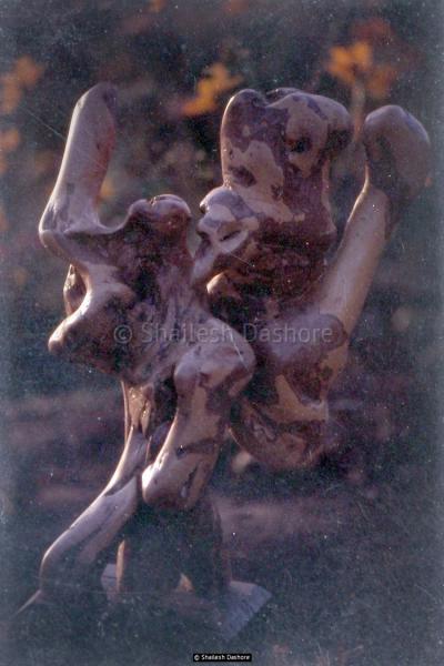 Wooden Sculpture