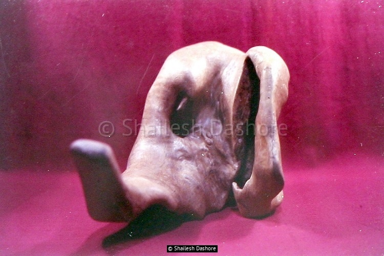 Wooden Sculpture