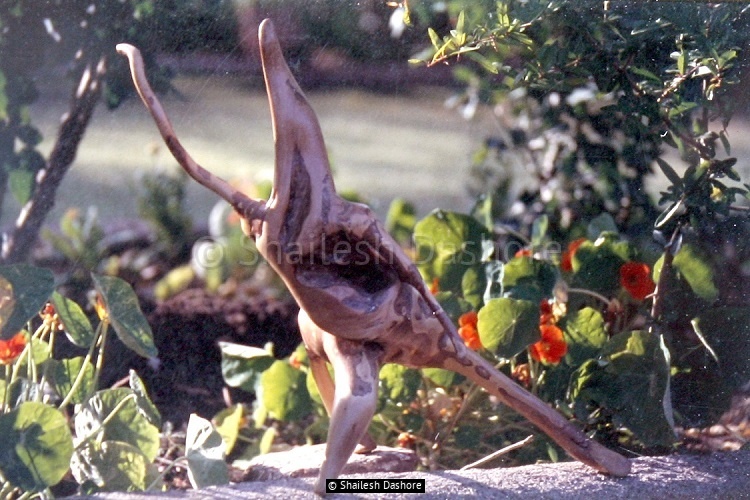 Wooden Sculpture