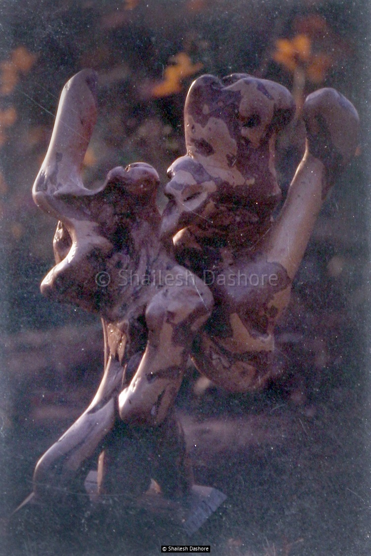 Wooden Sculpture