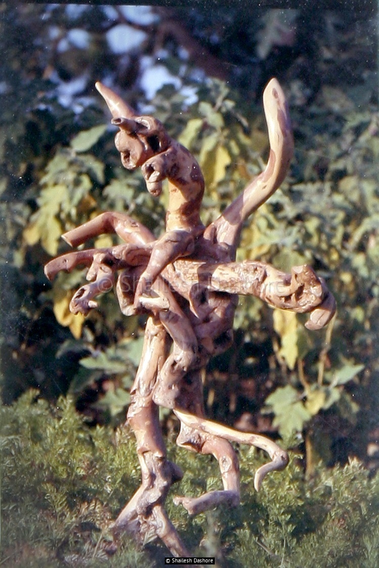 Wooden Sculpture